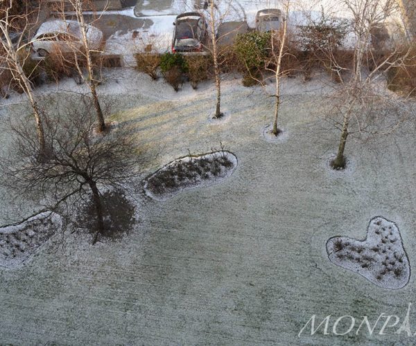 dsc_0043_15924238281_o